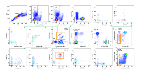 Functional Assays